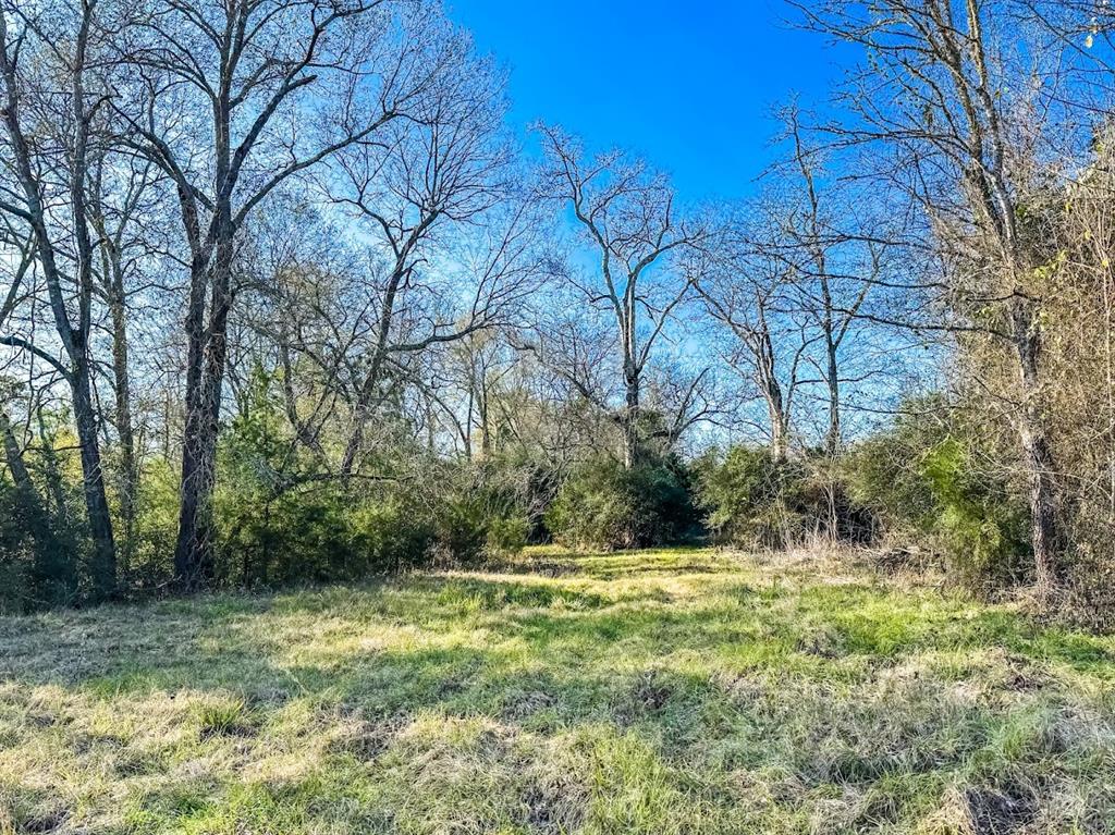 1085 Duke Road, Apple Springs, Texas image 8