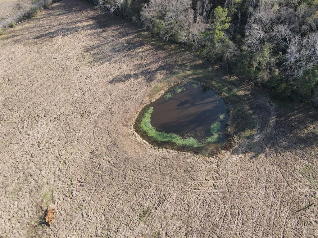 1085 Duke Road, Apple Springs, Texas image 15