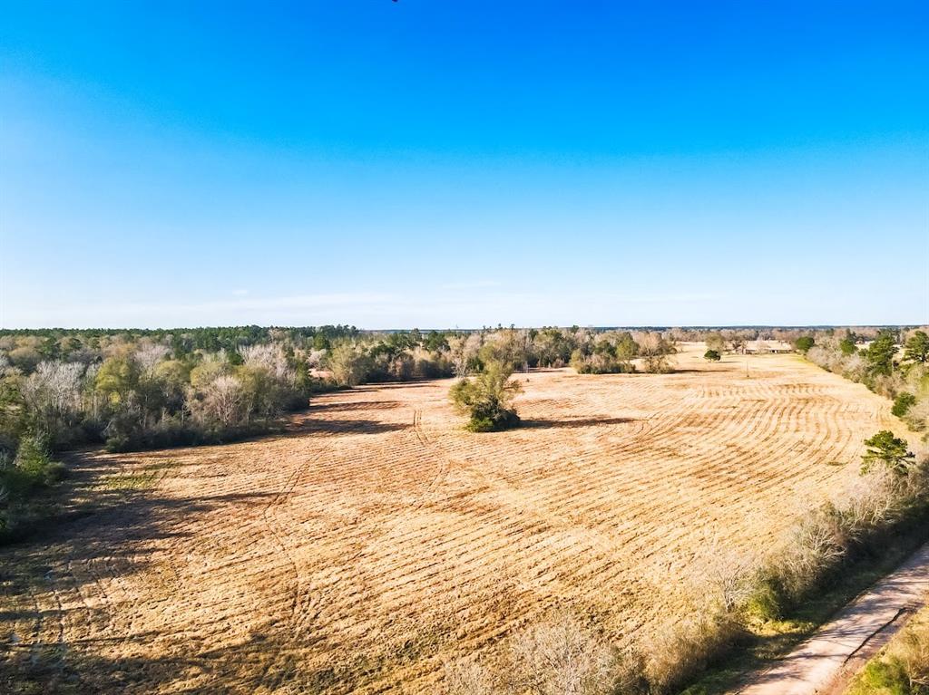 1085 Duke Road, Apple Springs, Texas image 1