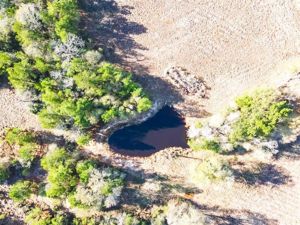 1085 Duke Road, Apple Springs, Texas image 14