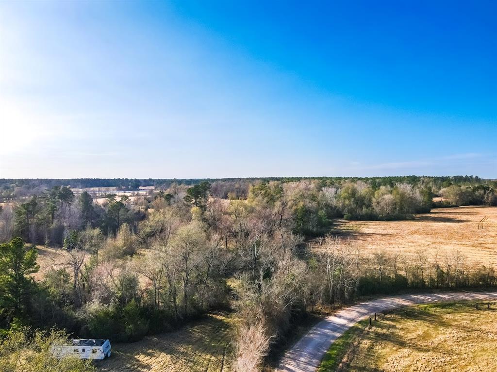 1085 Duke Road, Apple Springs, Texas image 6