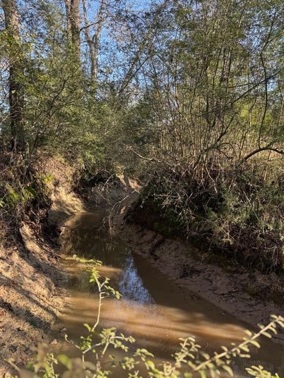 1085 Duke Road, Apple Springs, Texas image 11