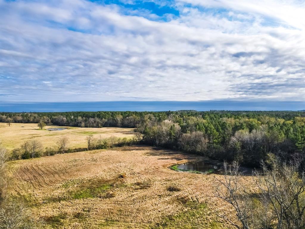 1085 Duke Road, Apple Springs, Texas image 2