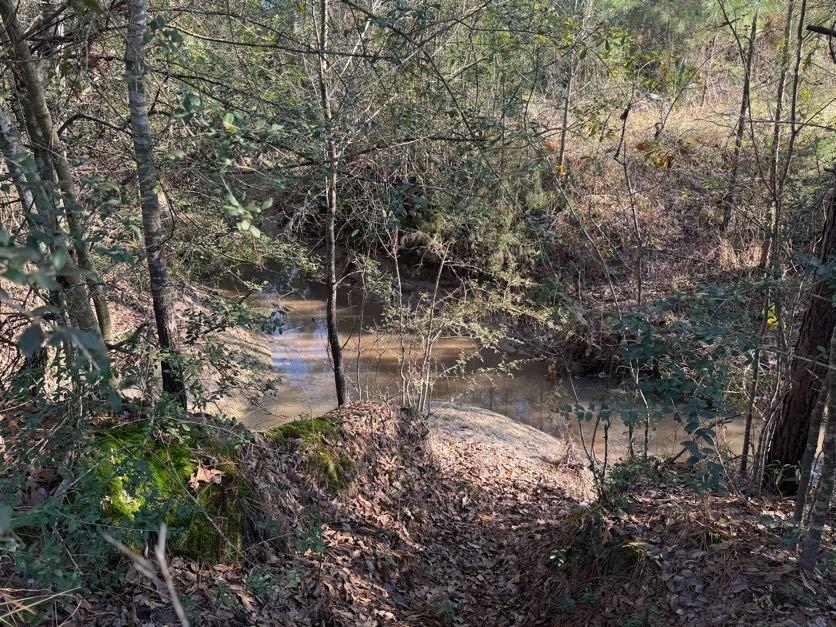 1085 Duke Road, Apple Springs, Texas image 9