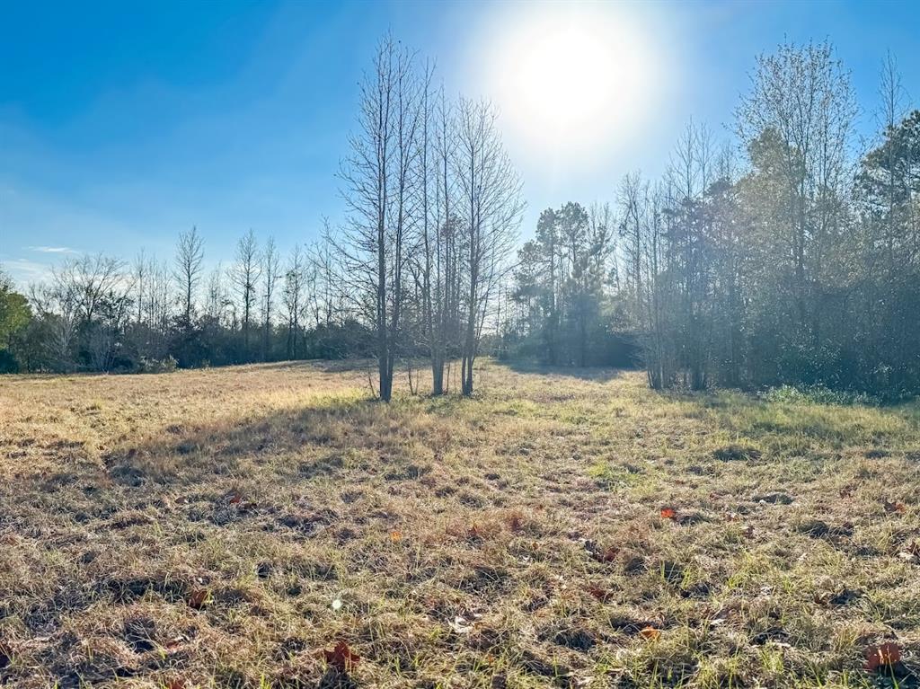 1085 Duke Road, Apple Springs, Texas image 7