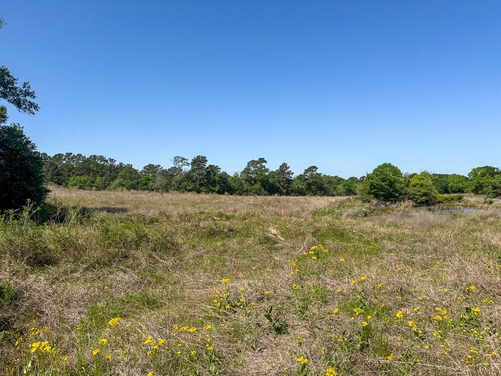 00034 County Road 155, Bedias, Texas image 17