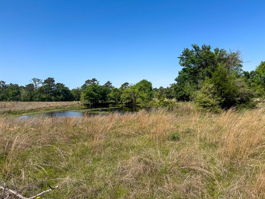 00034 County Road 155, Bedias, Texas image 16