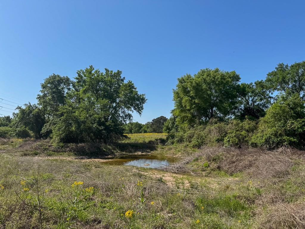 00034 County Road 155, Bedias, Texas image 21