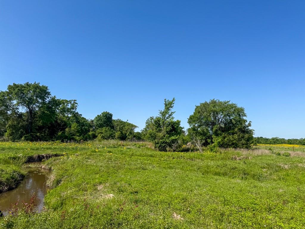 00034 County Road 155, Bedias, Texas image 4