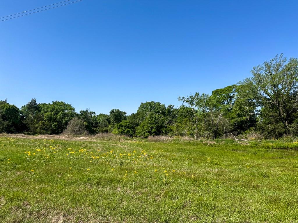 00034 County Road 155, Bedias, Texas image 6
