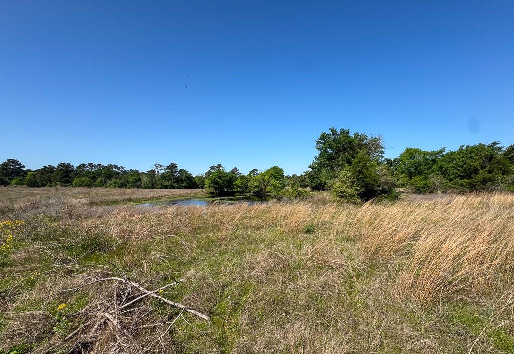 00034 County Road 155, Bedias, Texas image 15