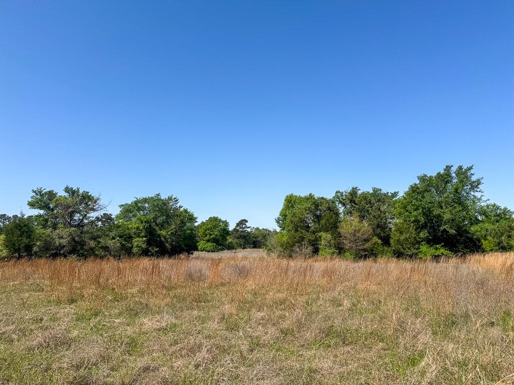 00034 County Road 155, Bedias, Texas image 11