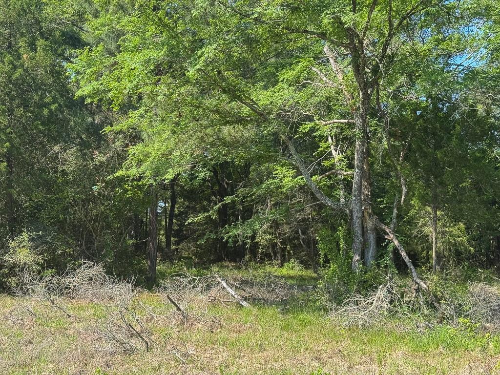 00034 County Road 155, Bedias, Texas image 8