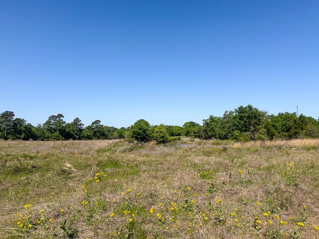 00034 County Road 155, Bedias, Texas image 18