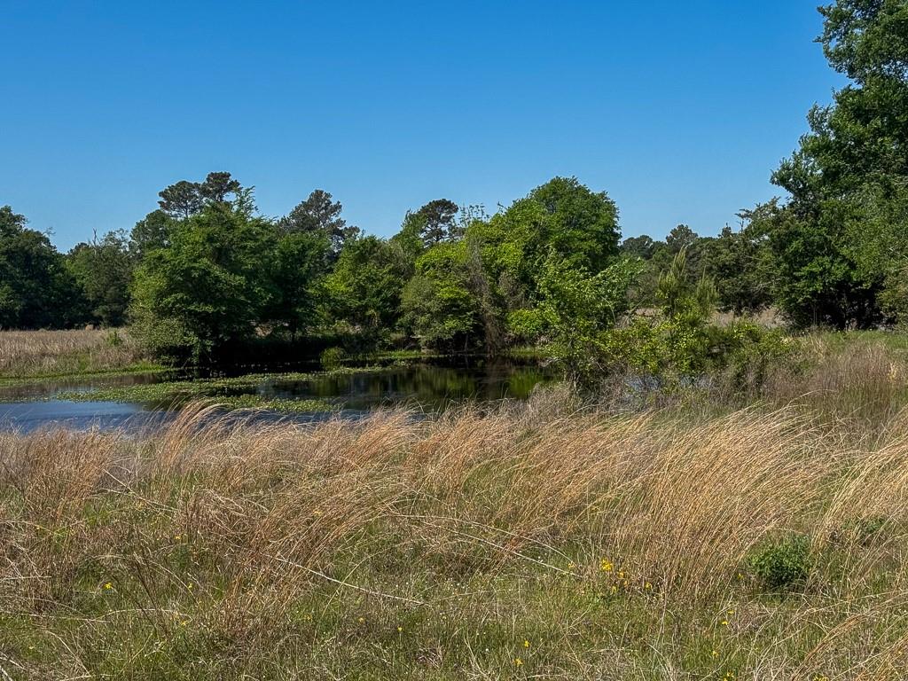 00034 County Road 155, Bedias, Texas image 14