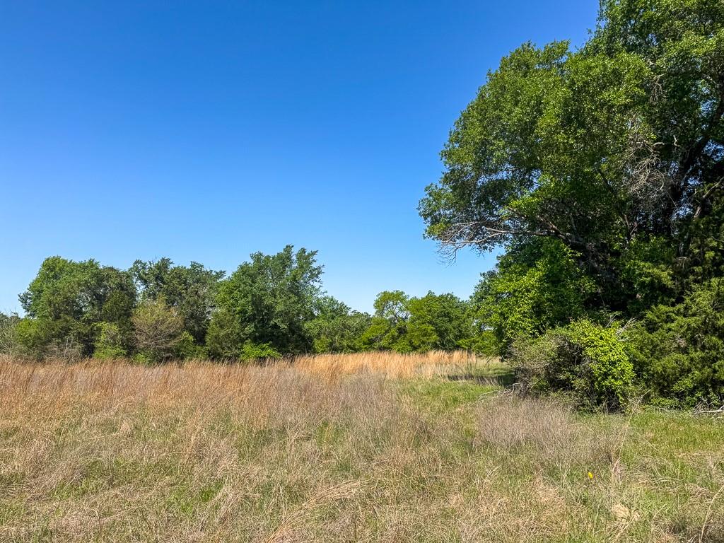 00034 County Road 155, Bedias, Texas image 10