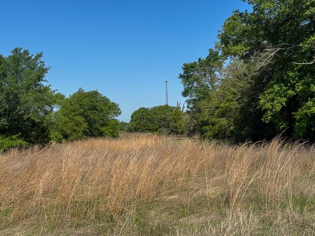 00034 County Road 155, Bedias, Texas image 13