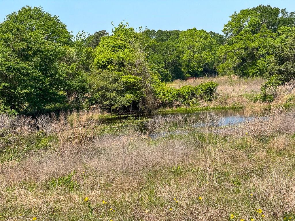 00034 County Road 155, Bedias, Texas image 19