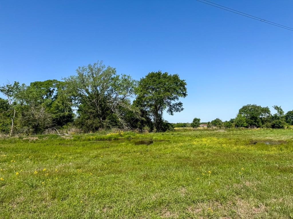 00034 County Road 155, Bedias, Texas image 7