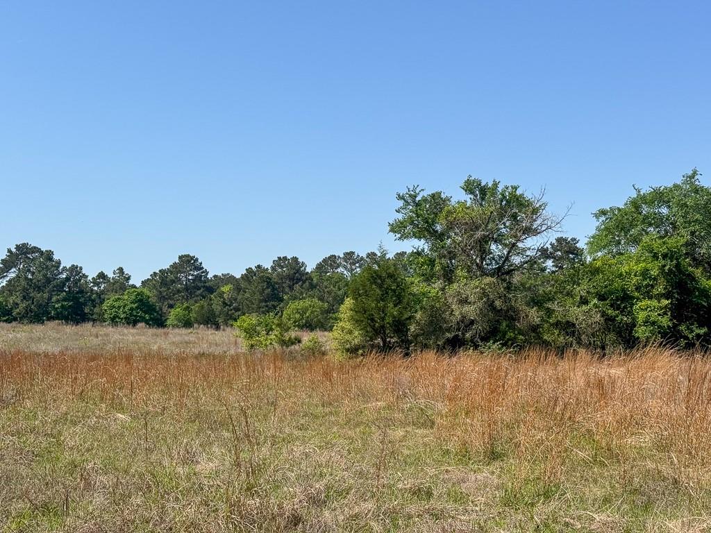 00034 County Road 155, Bedias, Texas image 12