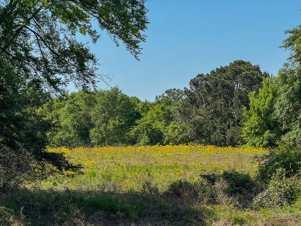 00034 County Road 155, Bedias, Texas image 23