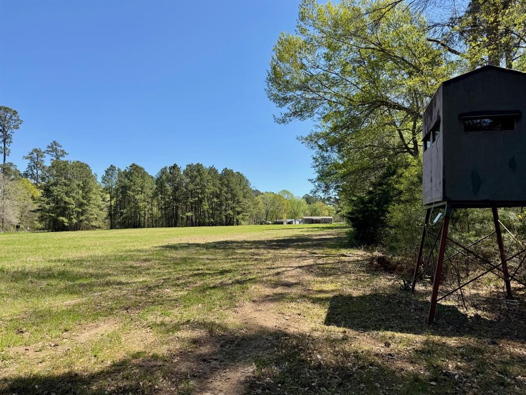 186 State Highway 7, Crockett, Texas image 37