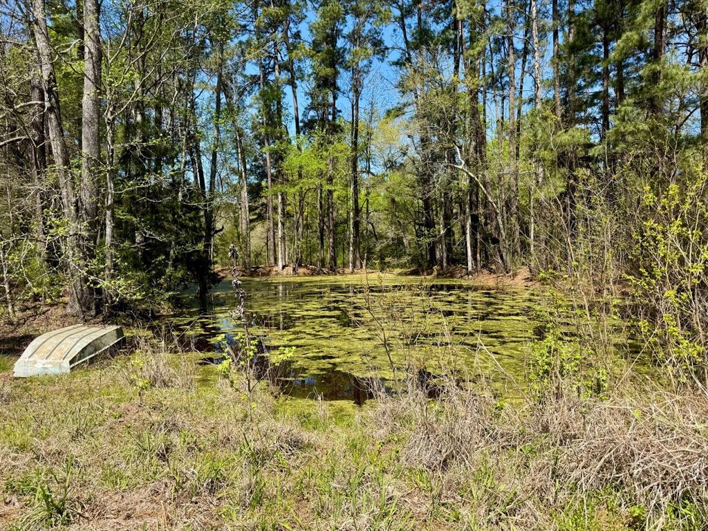 186 State Highway 7, Crockett, Texas image 32