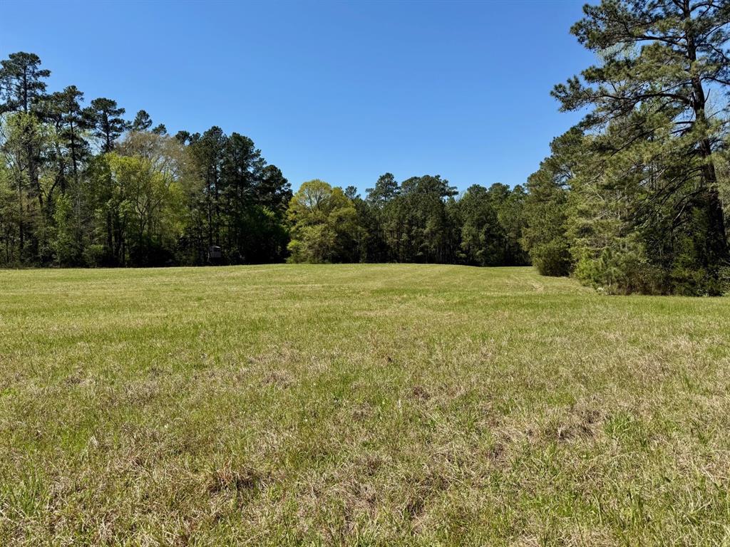 186 State Highway 7, Crockett, Texas image 36