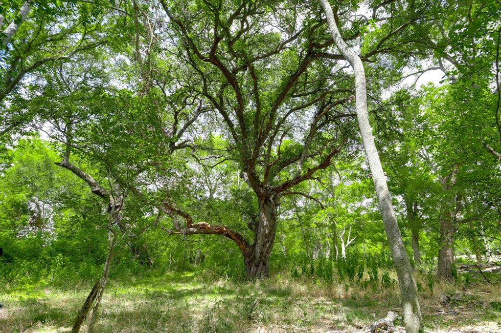 1601 Babylon Lane, Schulenburg, Texas image 22