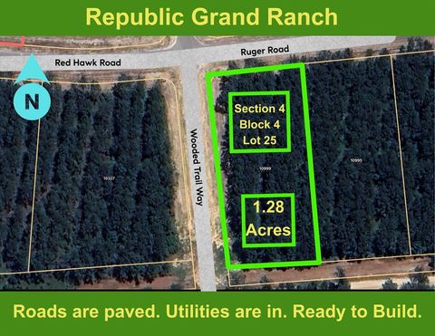 10999 Ruger Road Willis TX 77378