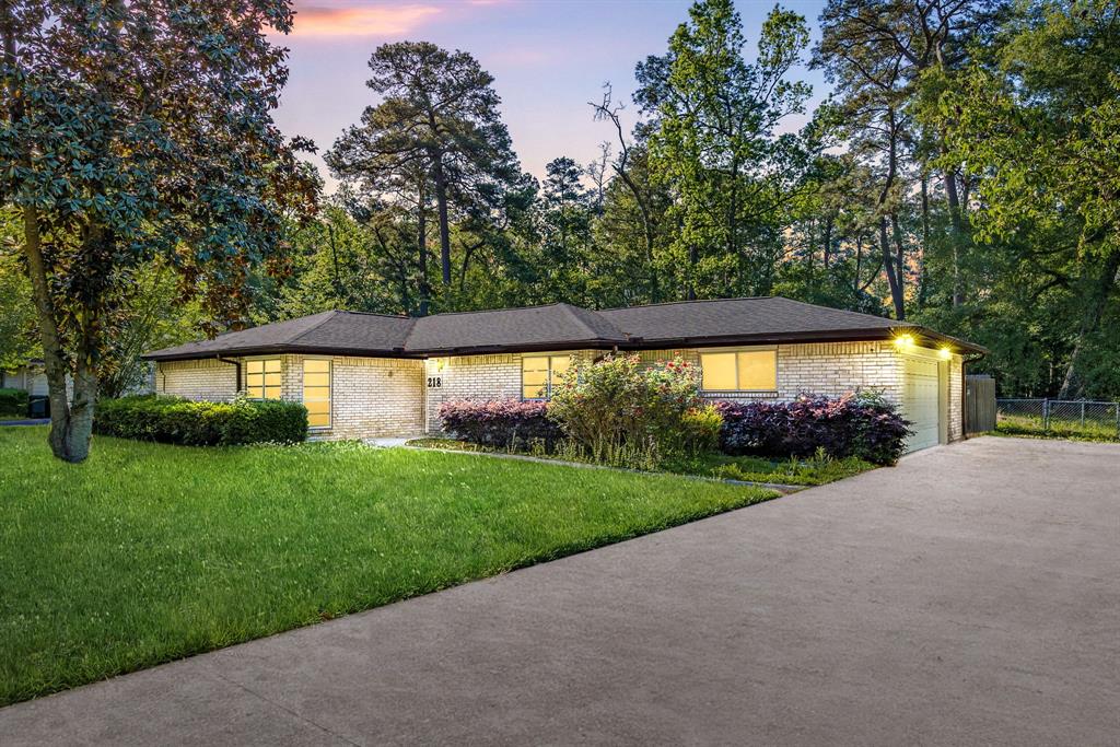 218 Chariot Lane, New Caney, Texas image 1