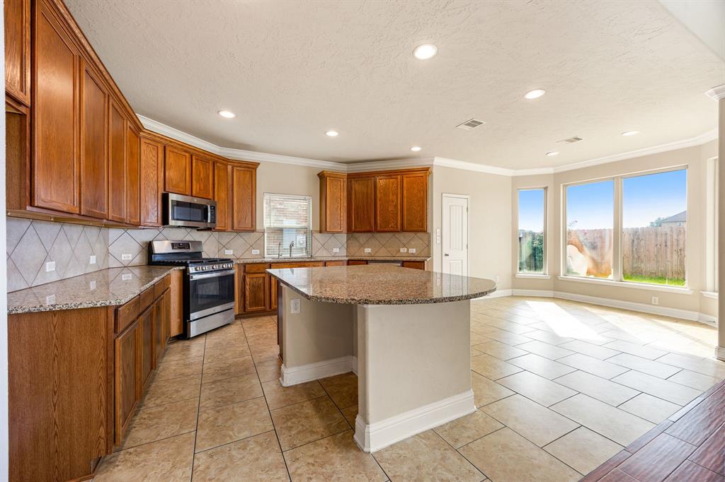 20522 Saddleback Chase Lane, Cypress, Texas image 7