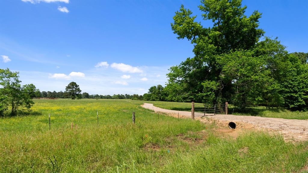 5759 Spring Branch Road, Montgomery, Texas image 9