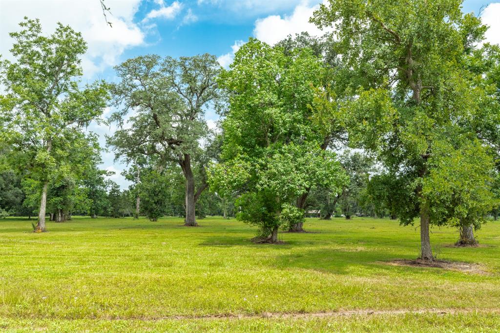 315B Valley Oaks Drive