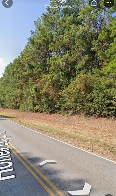 1411 Honea Egypt Magnolia TX 77354