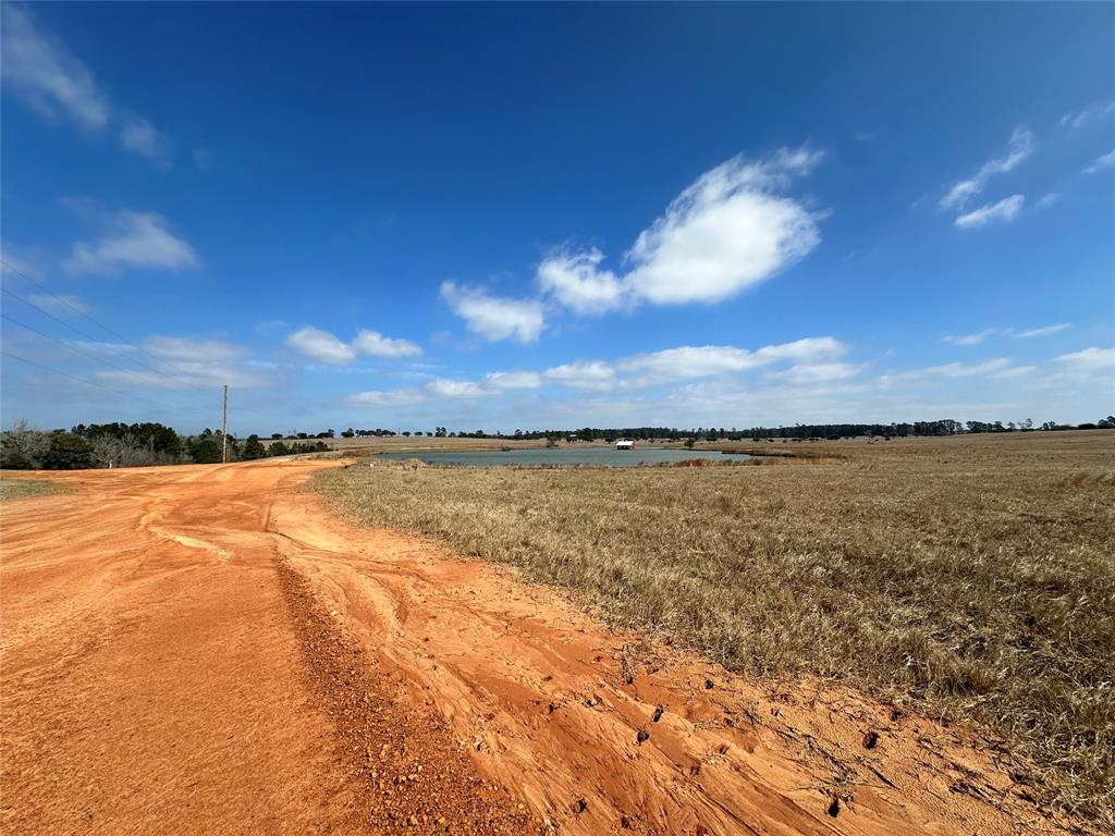 TBD Green Valley Trail, Hillister, Texas image 12