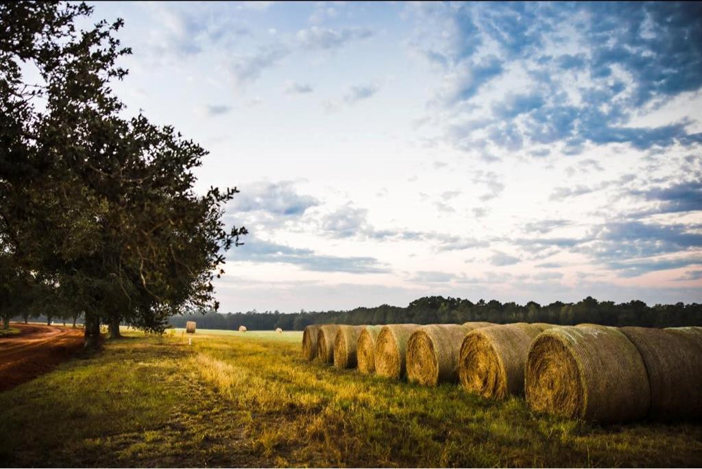 TBD Green Valley Trail, Hillister, Texas image 22