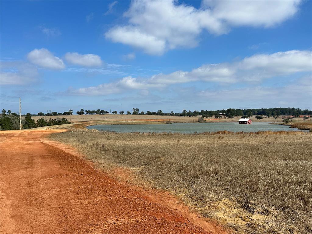 TBD Green Valley Trail, Hillister, Texas image 8