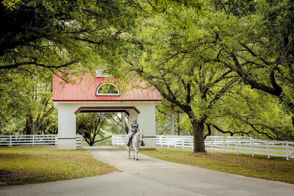 TBD Green Valley Trail, Hillister, Texas image 18