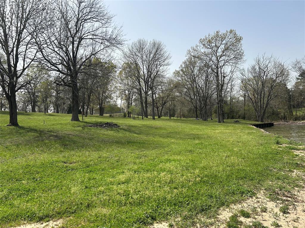 TBD Tigerville Road, Livingston, Texas image 5