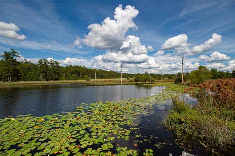 Vacant Land For Sale - 20720 N Us Hwy 59<br/> Corrigan, TX 75939