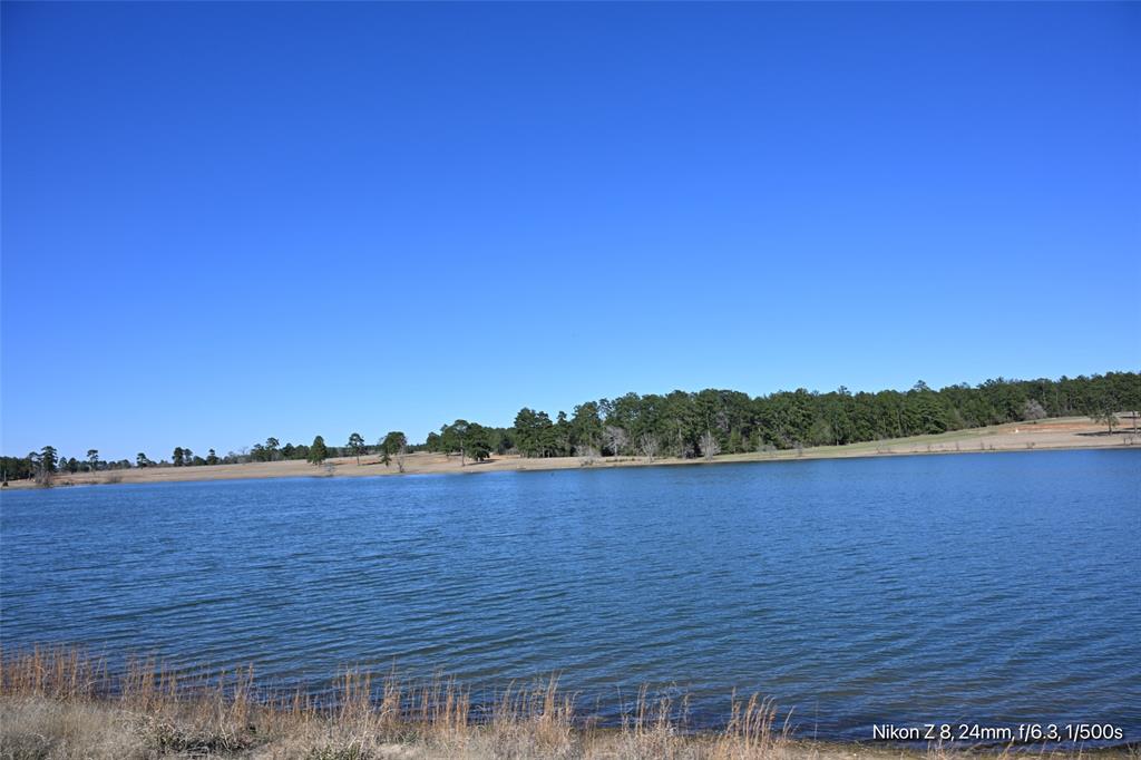 LOT 126 Lakeland Ranch, Hillister, Texas image 20