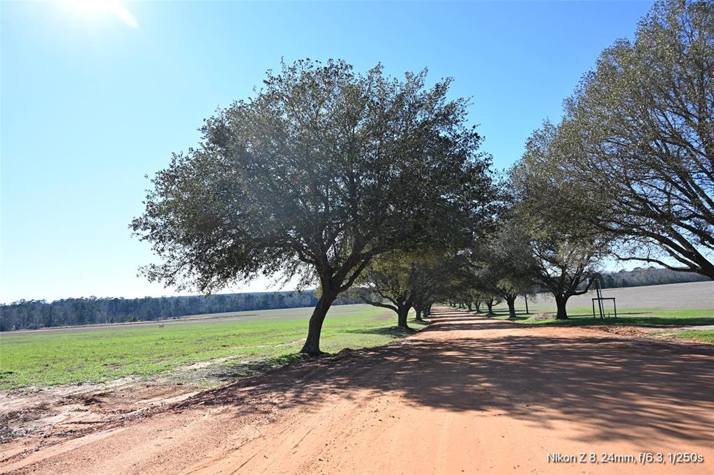 LOT 126 Lakeland Ranch, Hillister, Texas image 16