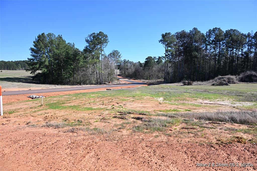 LOT 126 Lakeland Ranch, Hillister, Texas image 15