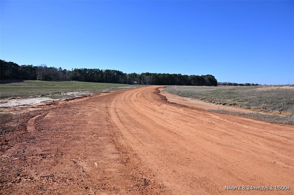 LOT 126 Lakeland Ranch, Hillister, Texas image 13