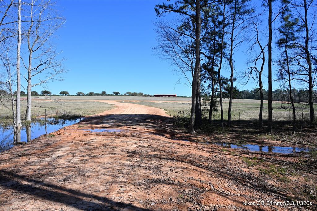 LOT 126 Lakeland Ranch, Hillister, Texas image 7