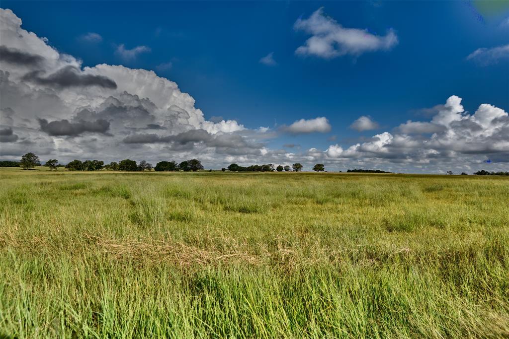 6572 Highway 21, Caldwell, Texas image 35