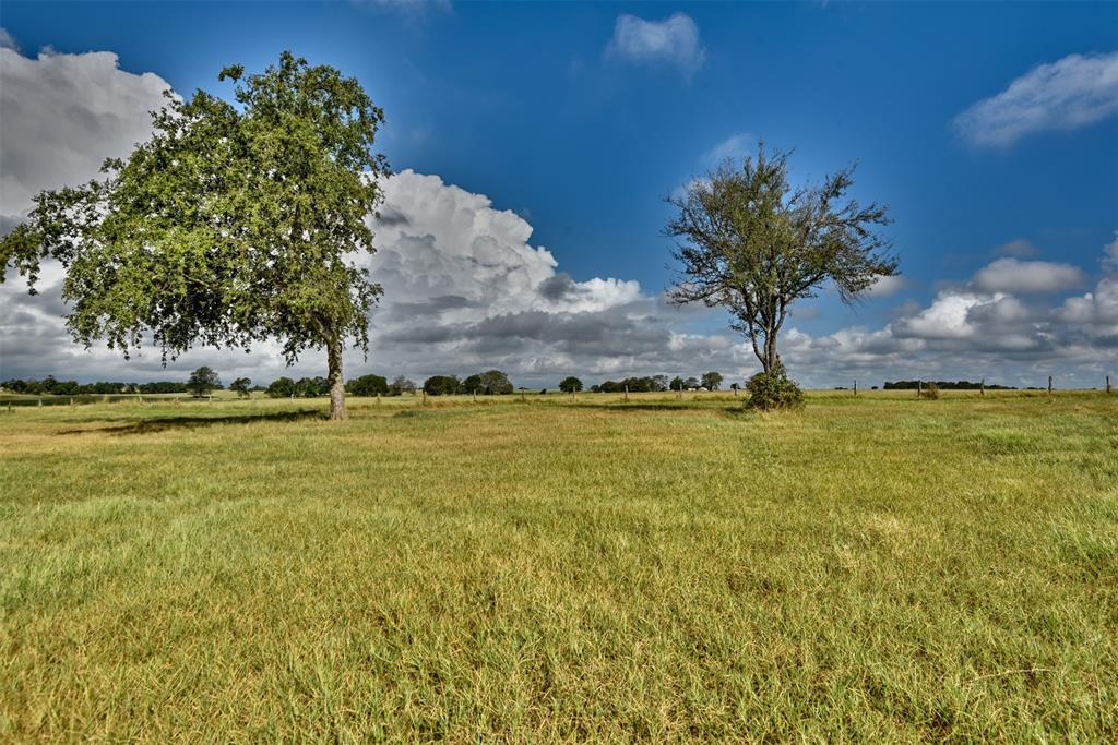 6572 Highway 21, Caldwell, Texas image 34