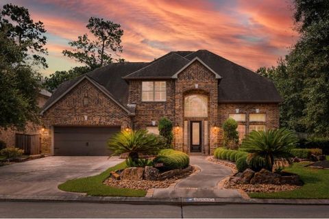 20660 Lavone Drive Porter TX 77365