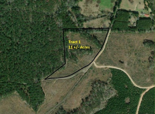 104 DENNING ST, PINELAND, TX 75968 - Image 20aba31d5c7e480a607d39cc2a0be5d5/1950070060
